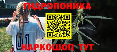 jwh Лесосибирск