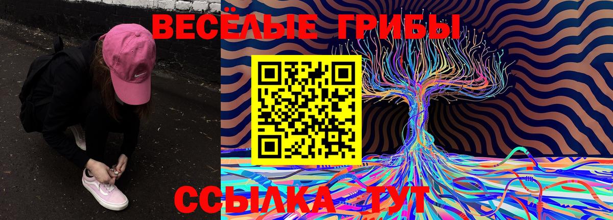 сколько стоит  Галлюциногенные грибы Psilocybe  Вход с VPN  Псилоцибиновые грибы Magic Shrooms  Десногорск 